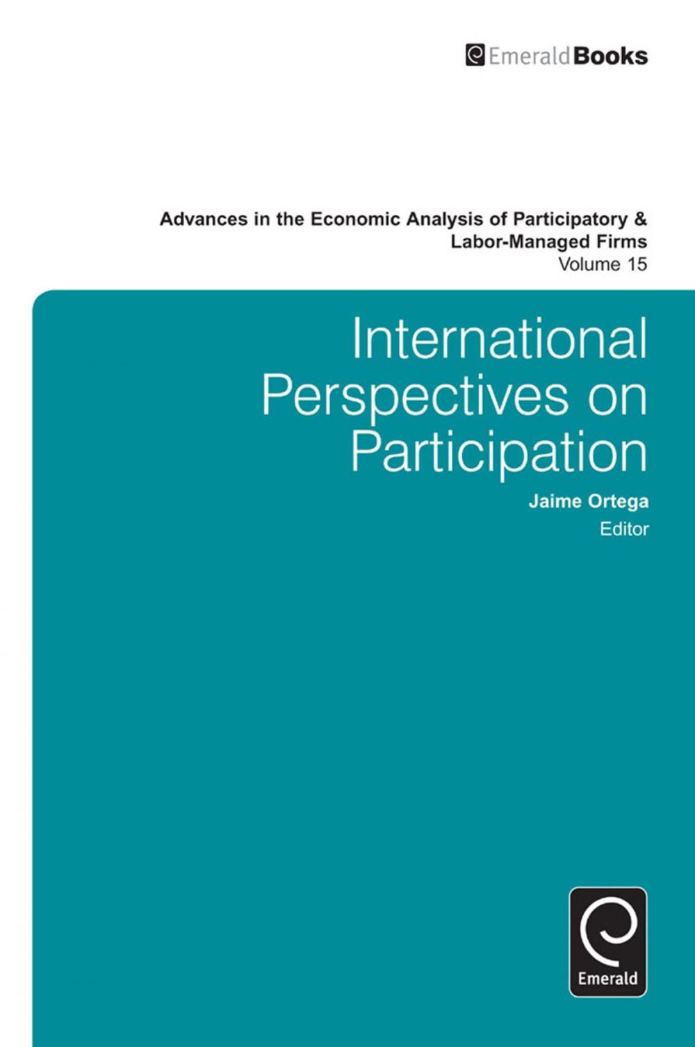 Big bigCover of International Perspectives on Participation