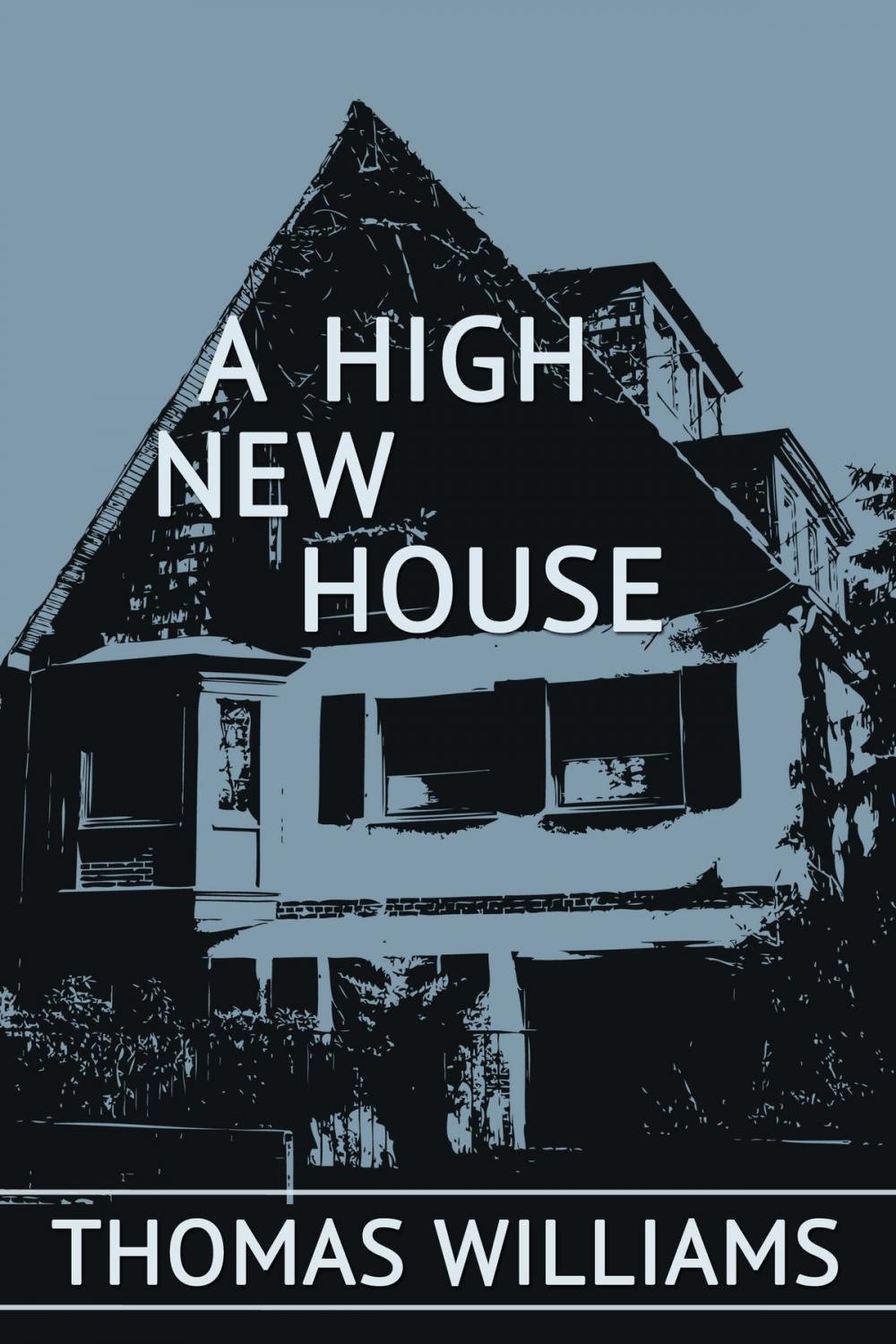 Big bigCover of A High New House