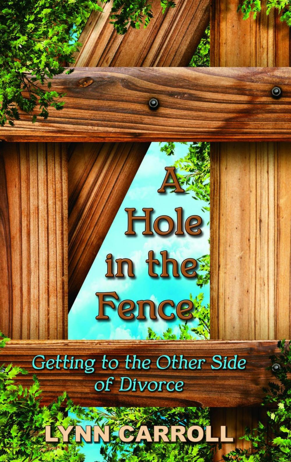 Big bigCover of A Hole in the Fence