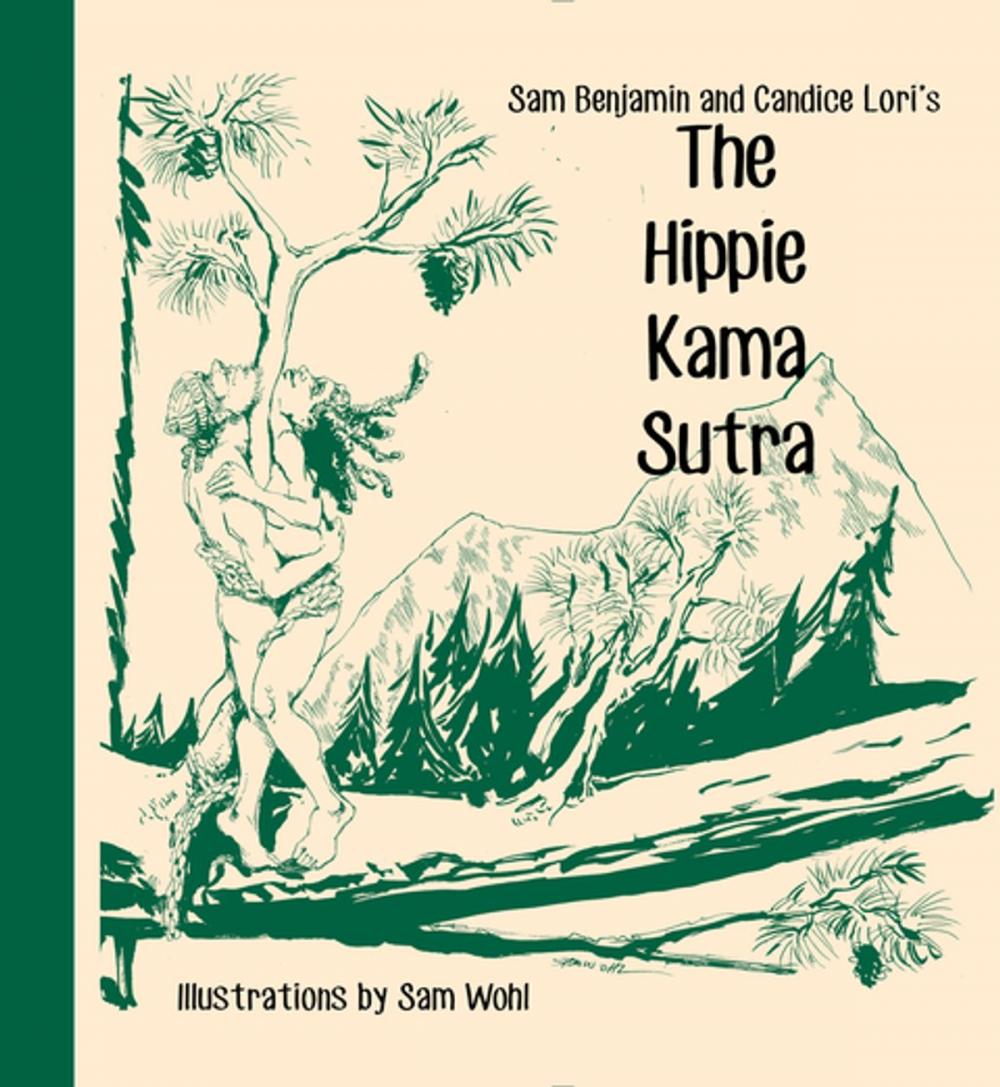 Big bigCover of The Hippie Kama Sutra