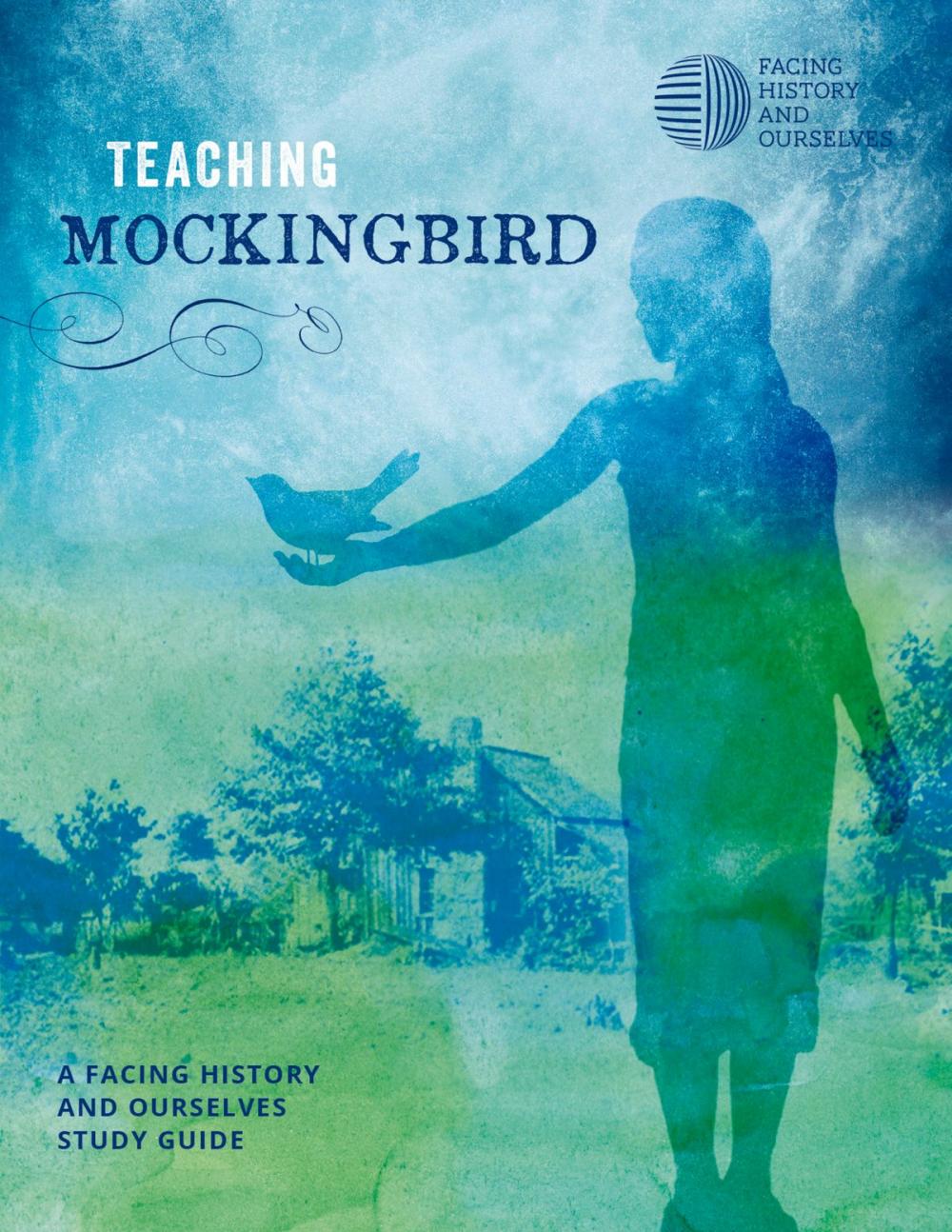 Big bigCover of Teaching Mockingbird