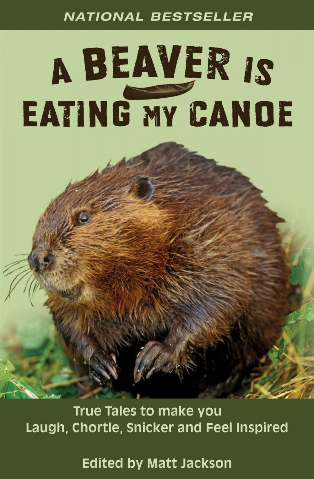 Big bigCover of A Beaver is Eating My Canoe