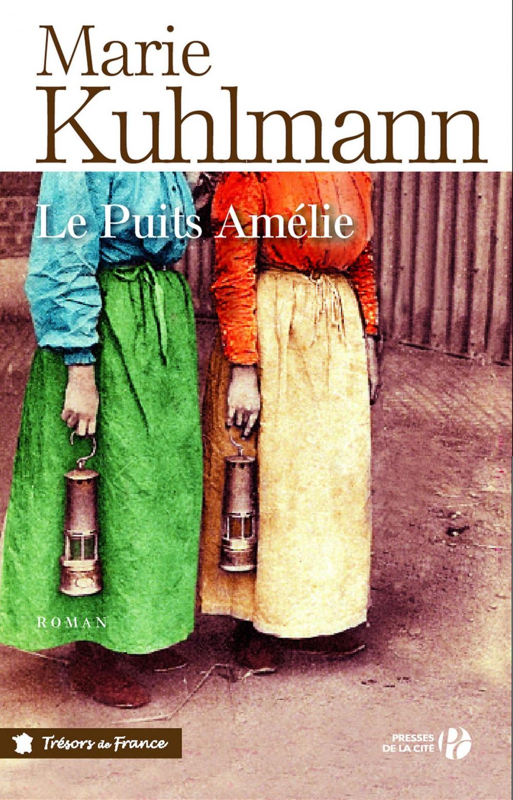 Big bigCover of Le puits Amélie