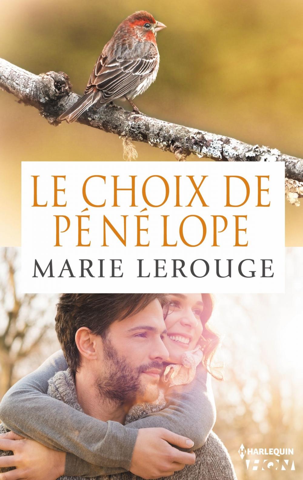 Big bigCover of Le choix de Pénélope