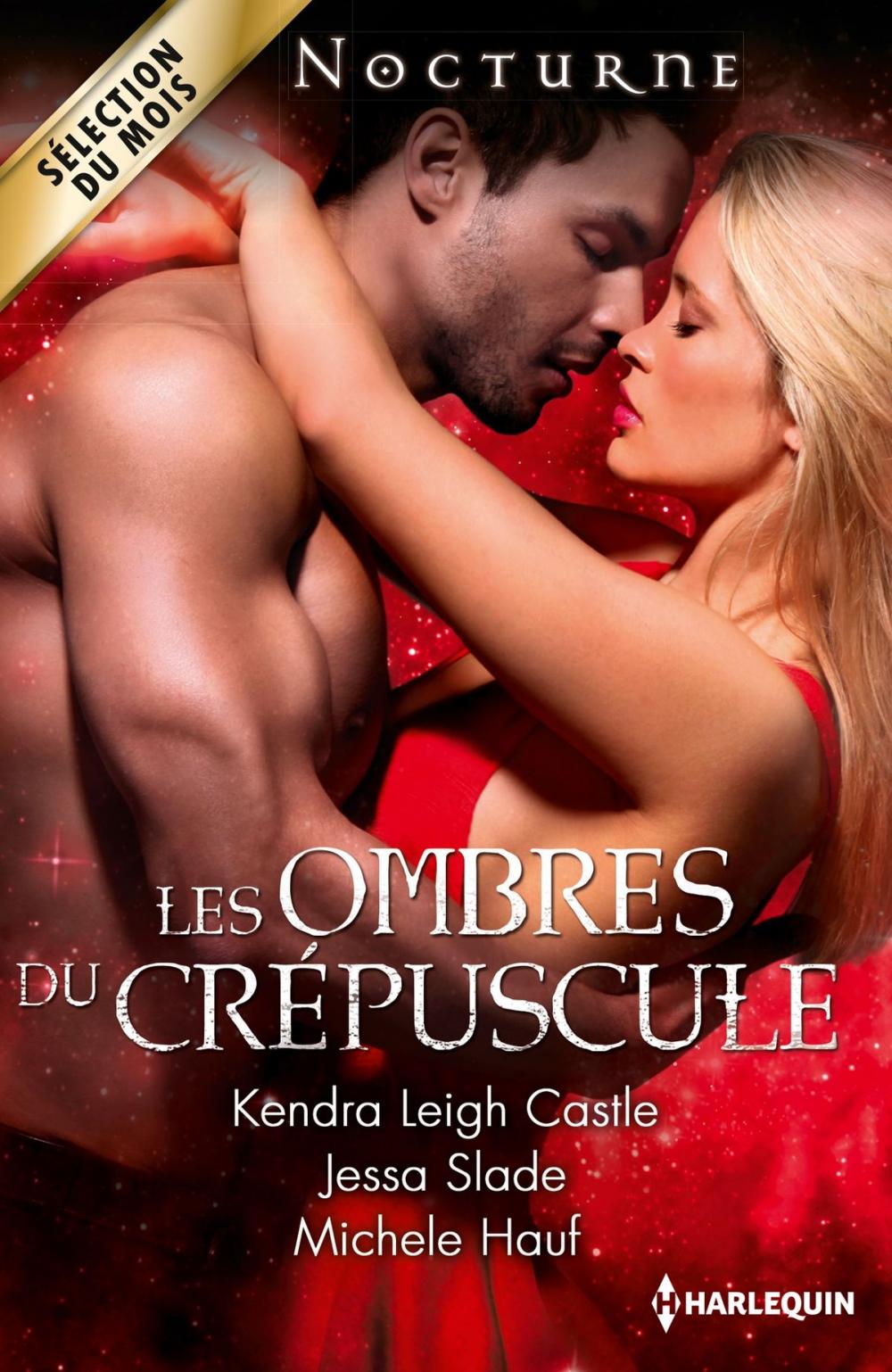 Big bigCover of Les ombres du crépuscule