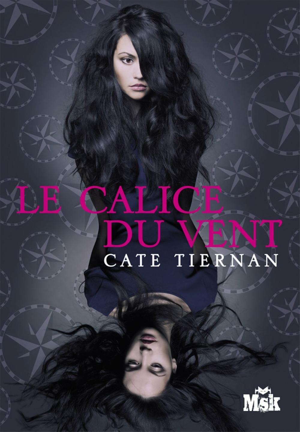 Big bigCover of Le calice du vent