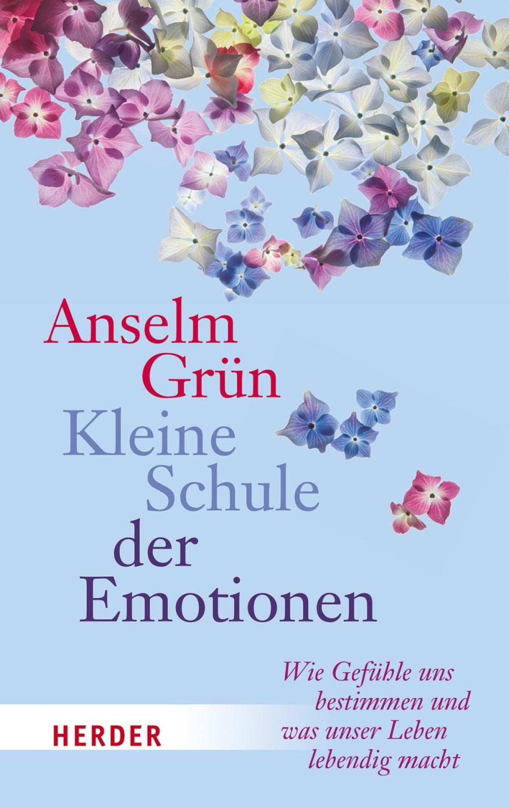 Big bigCover of Kleine Schule der Emotionen