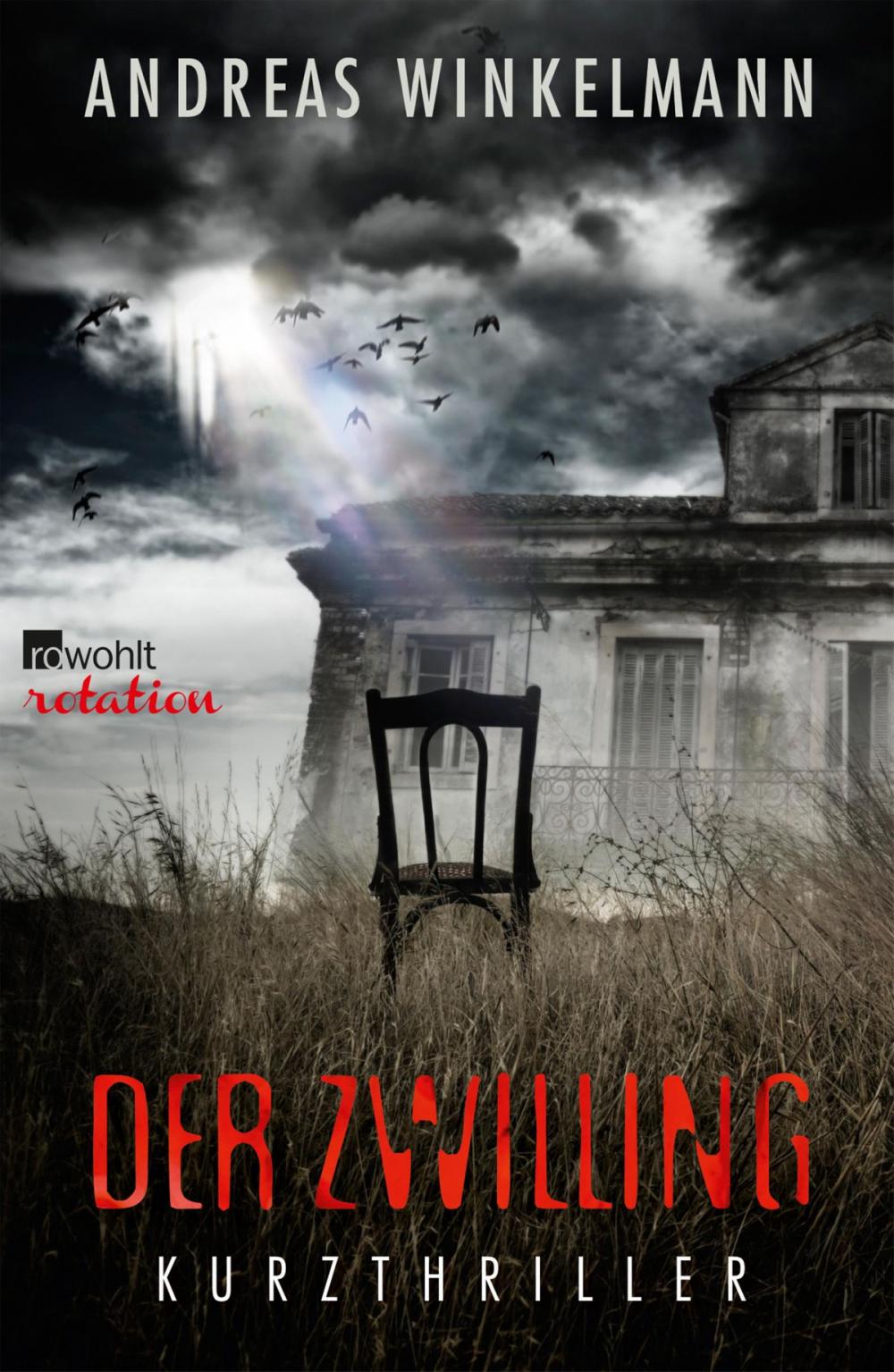 Big bigCover of Der Zwilling