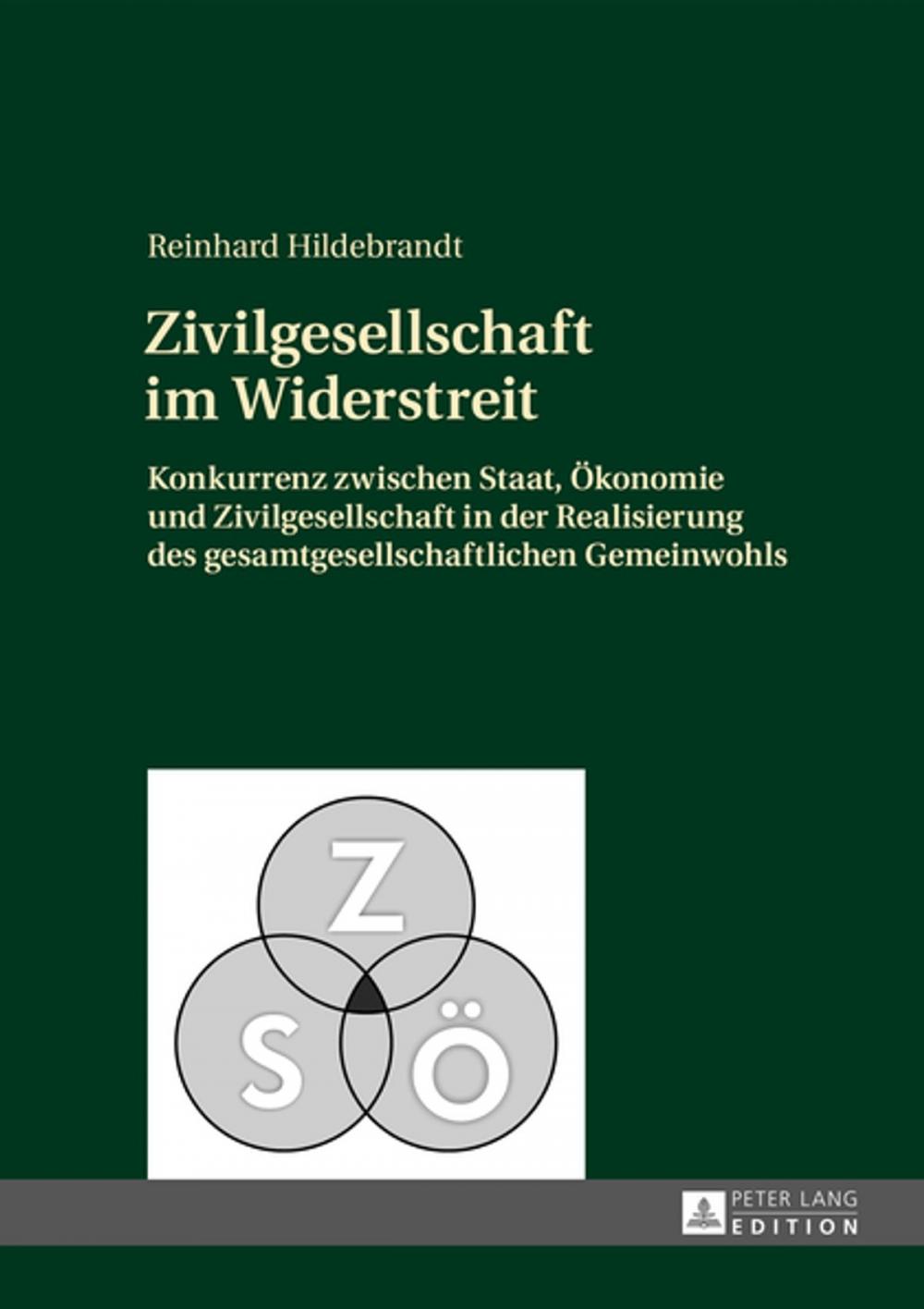 Big bigCover of Zivilgesellschaft im Widerstreit