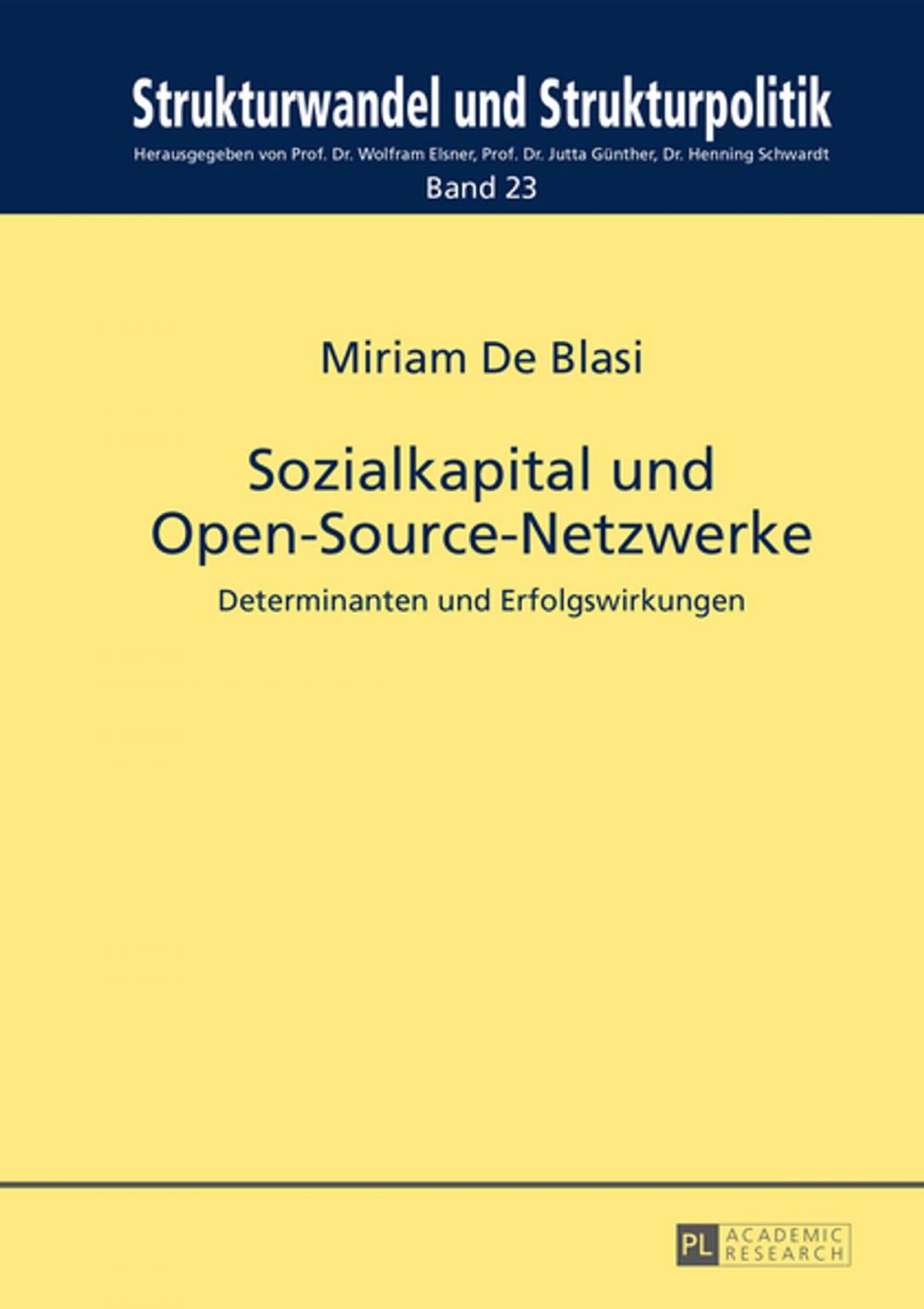 Big bigCover of Sozialkapital und Open-Source-Netzwerke