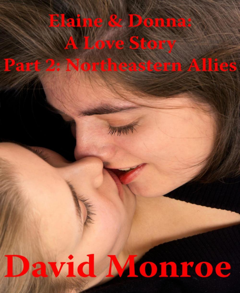 Big bigCover of Elaine & Donna: A Love Story, Part 2: Northeastern Allies