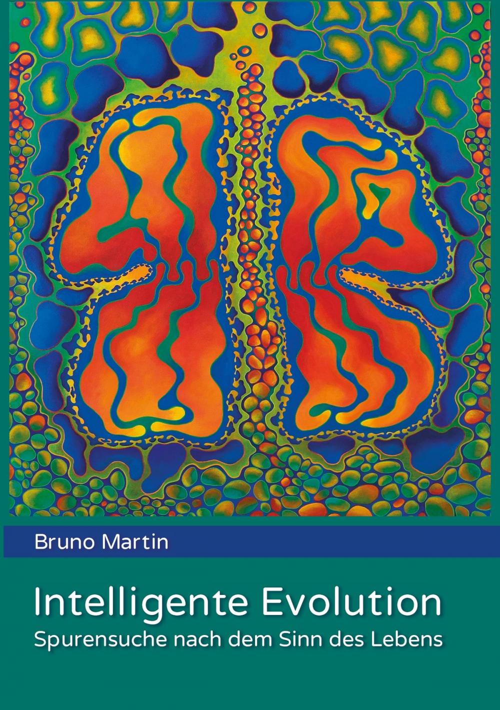 Big bigCover of Intelligente Evolution