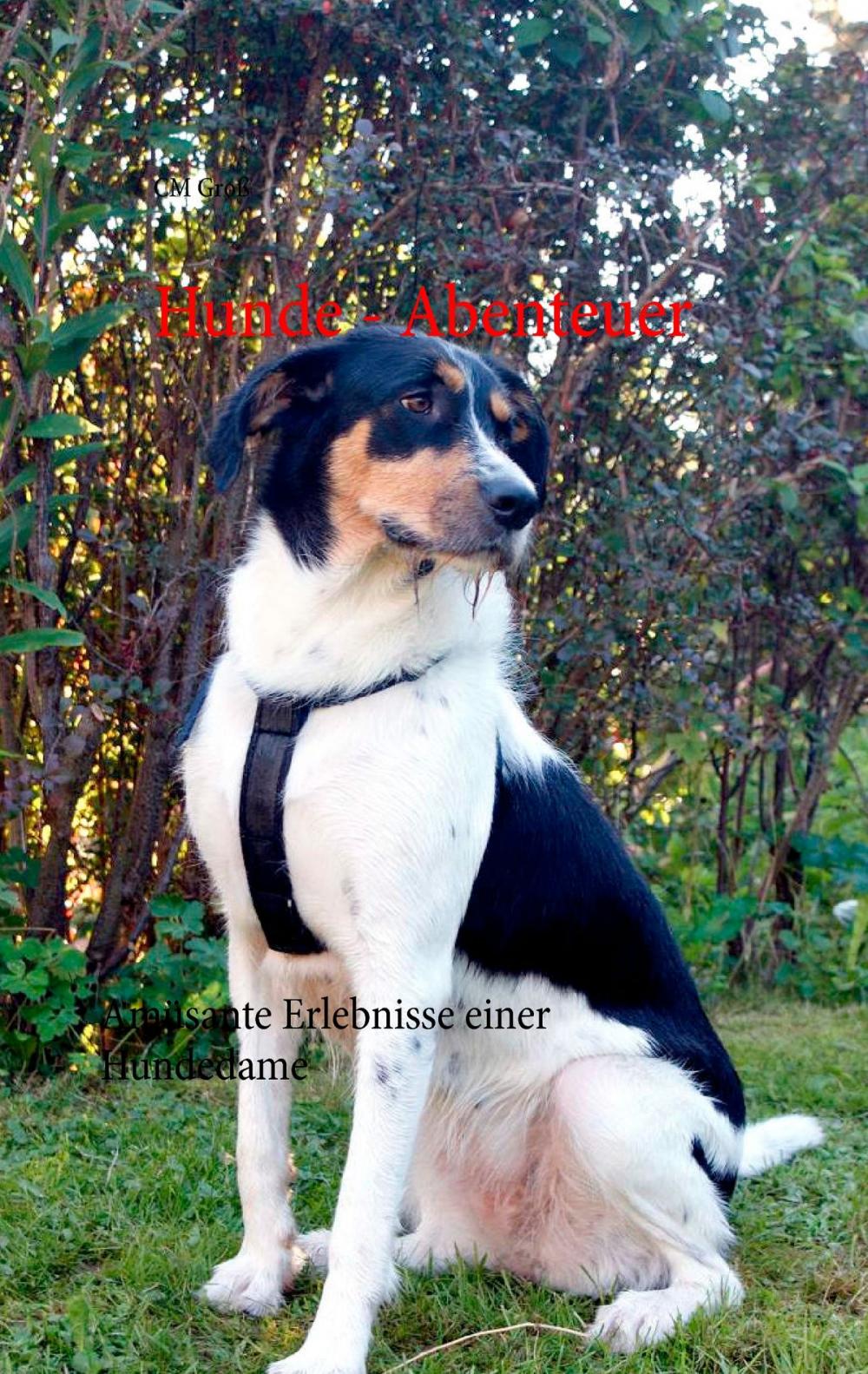 Big bigCover of Hunde - Abenteuer