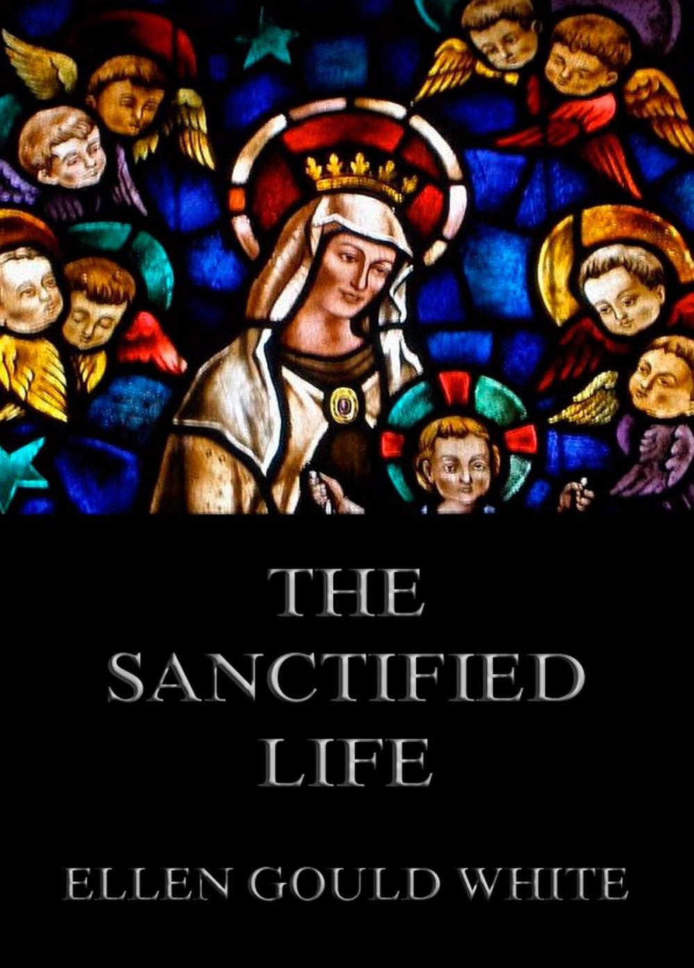 Big bigCover of The Sanctified Life