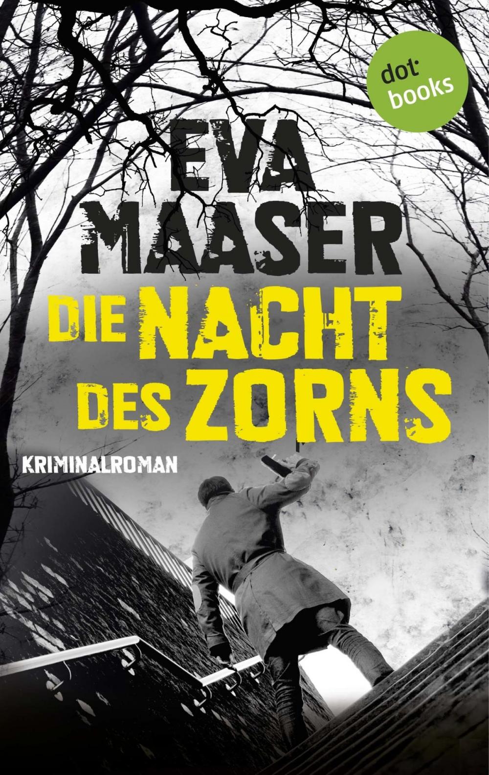 Big bigCover of Die Nacht des Zorns: Kommissar Rohleffs vierter Fall