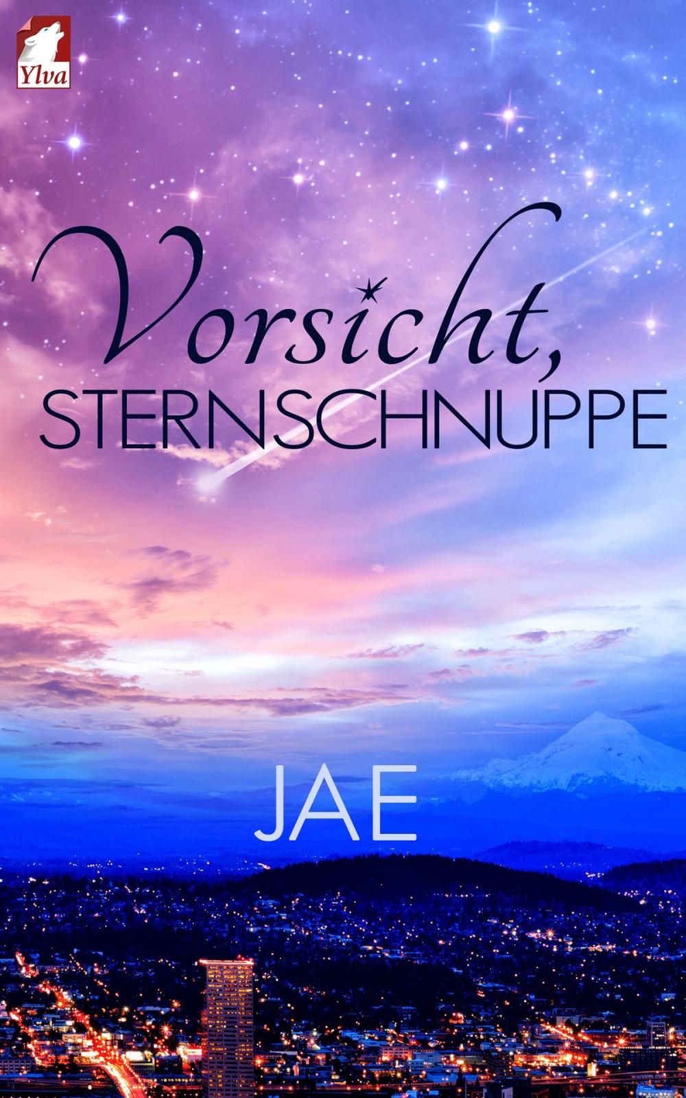 Big bigCover of Vorsicht, Sternschnuppe