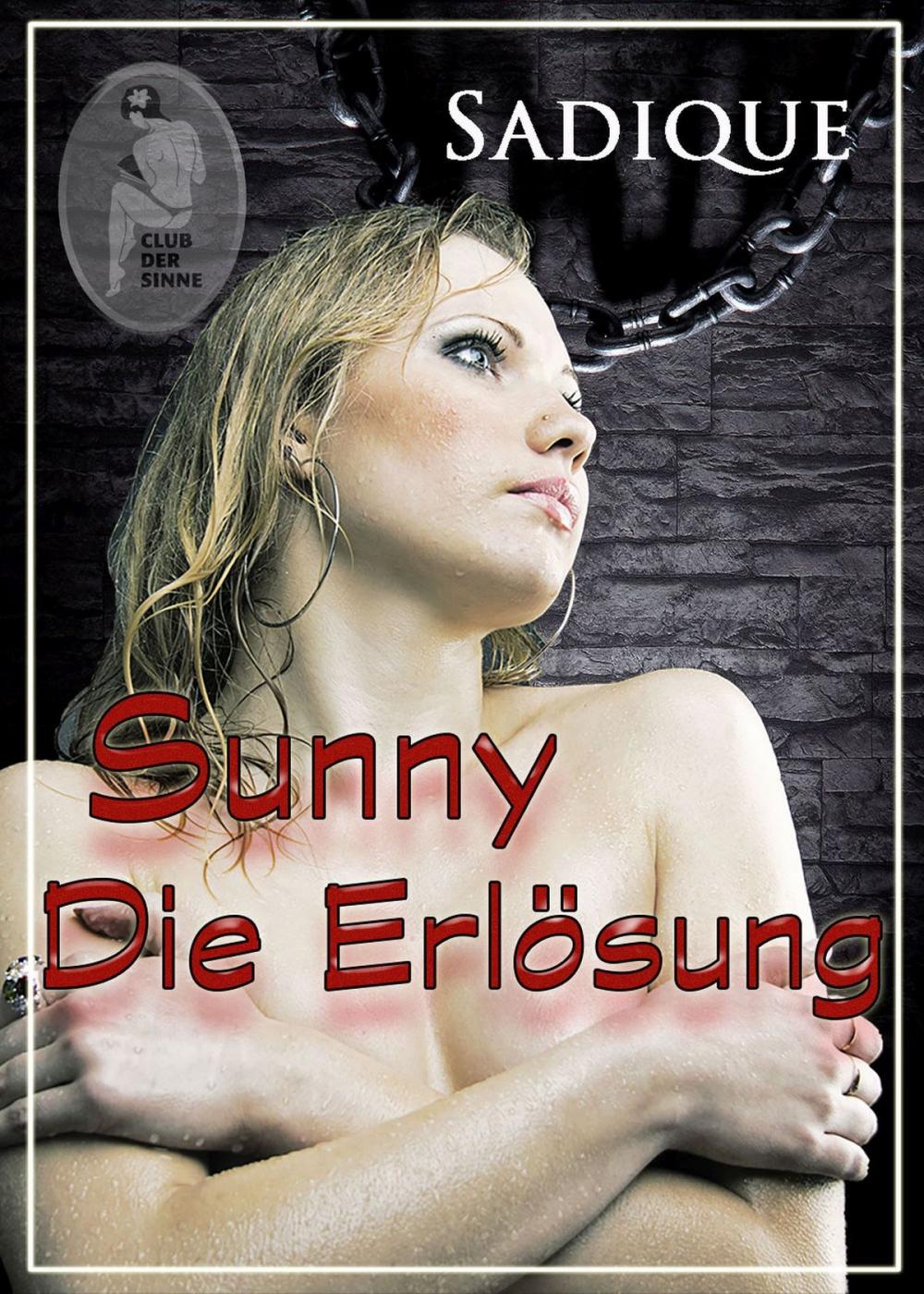 Big bigCover of Sunny - Die Erlösung