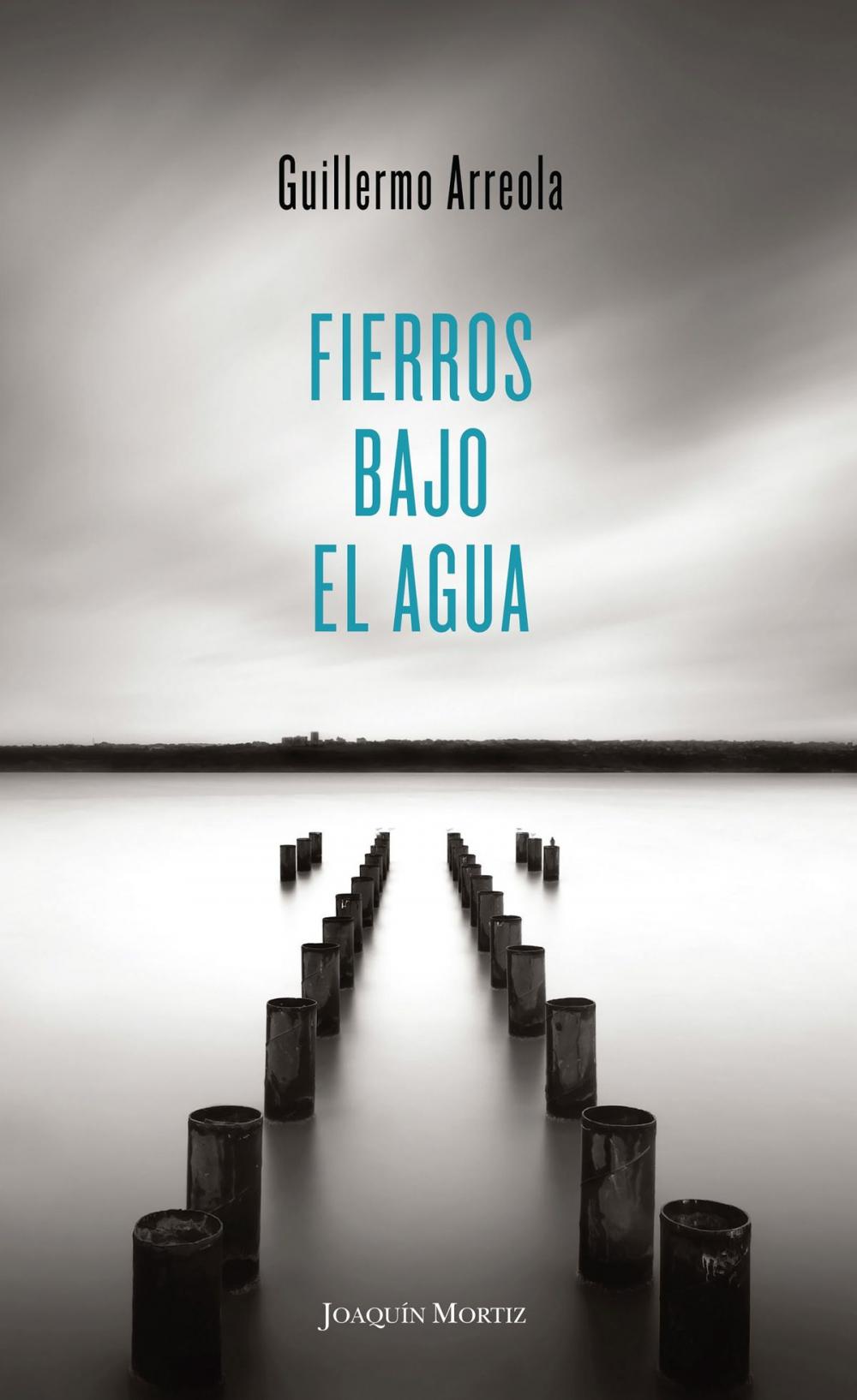 Big bigCover of Fierros bajo el agua