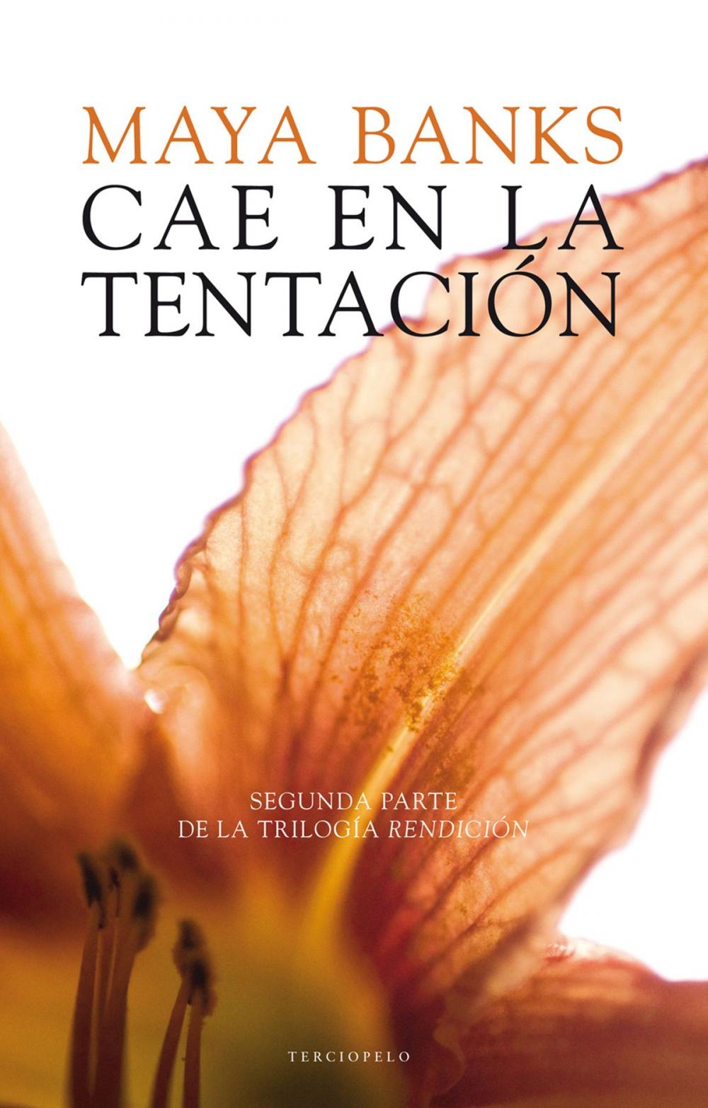 Big bigCover of Cae en la tentación