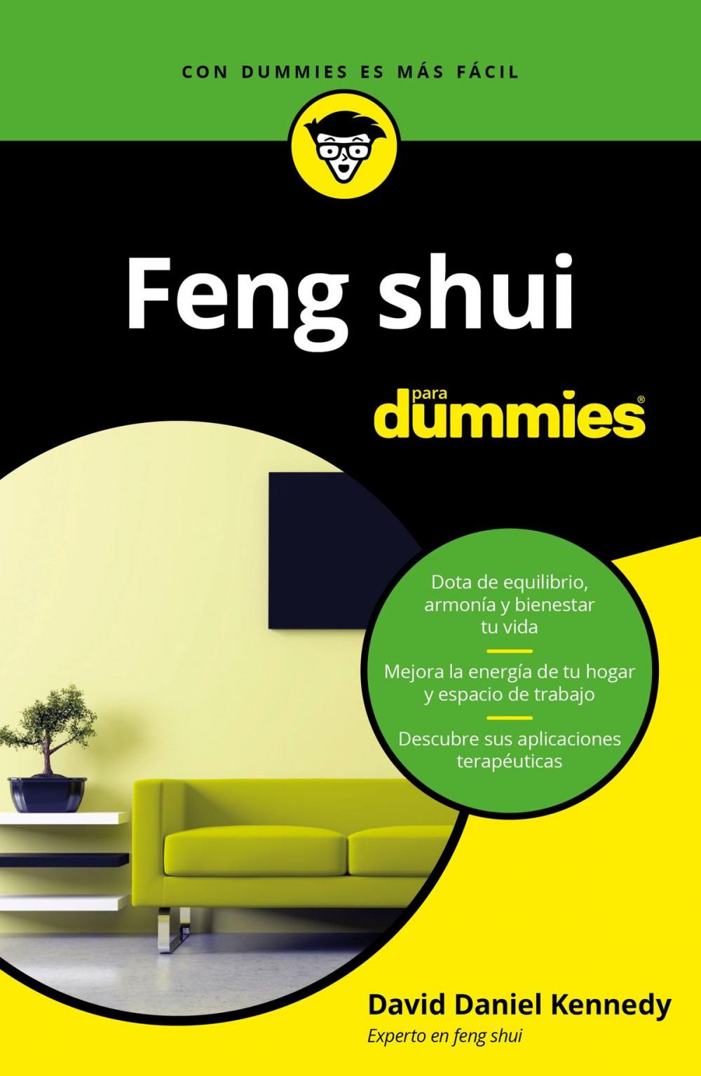 Big bigCover of Feng Shui para Dummies