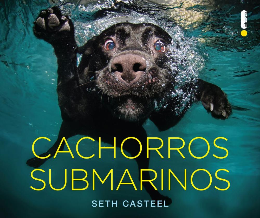 Big bigCover of Cachorros submarinos