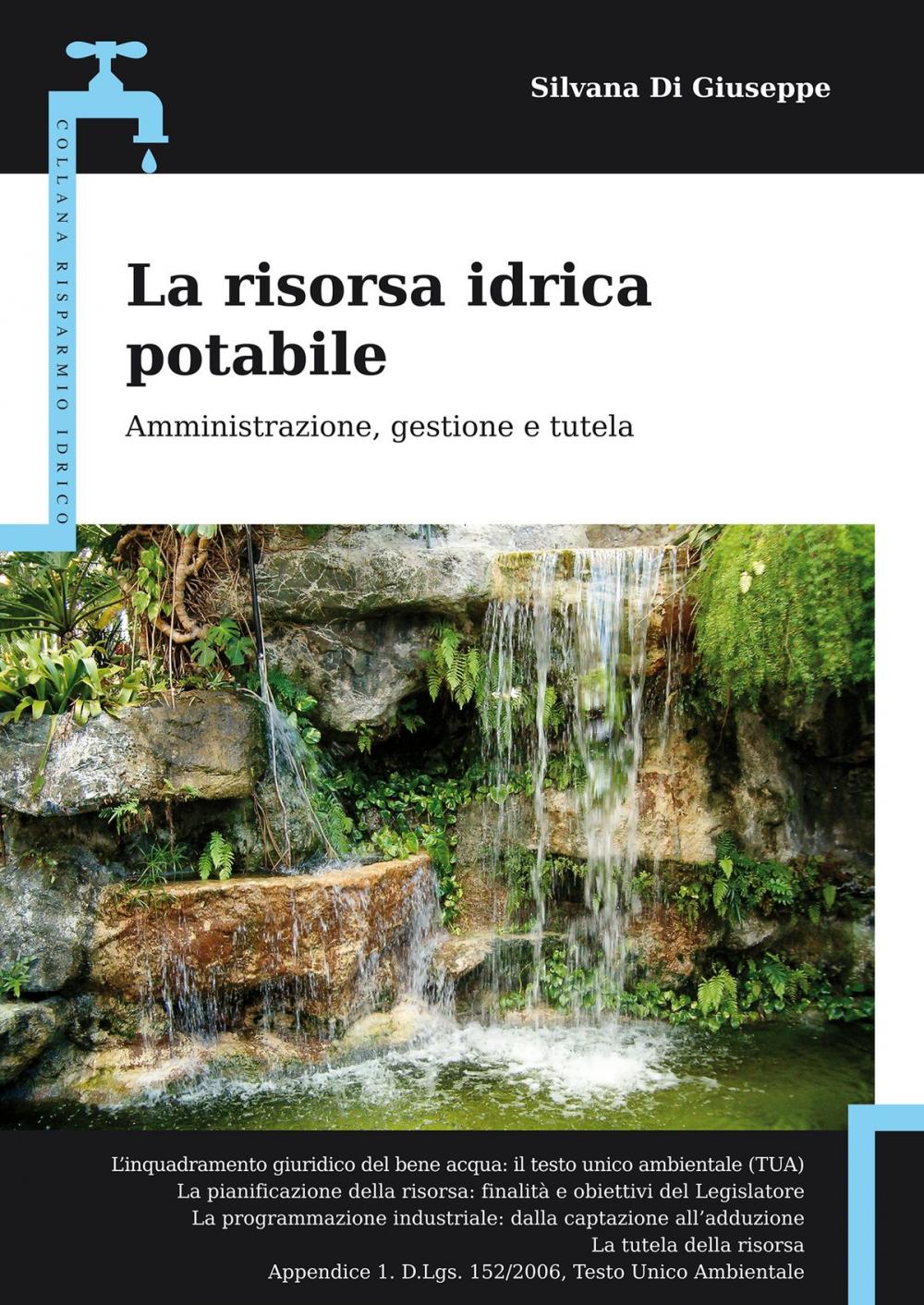 Big bigCover of La risorsa idrica potabile