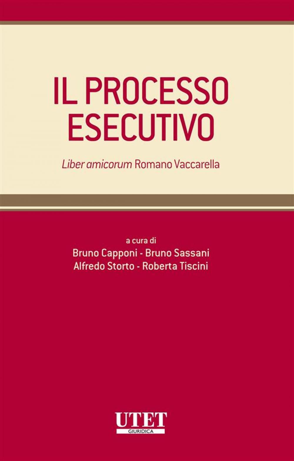 Big bigCover of Il processo esecutivo