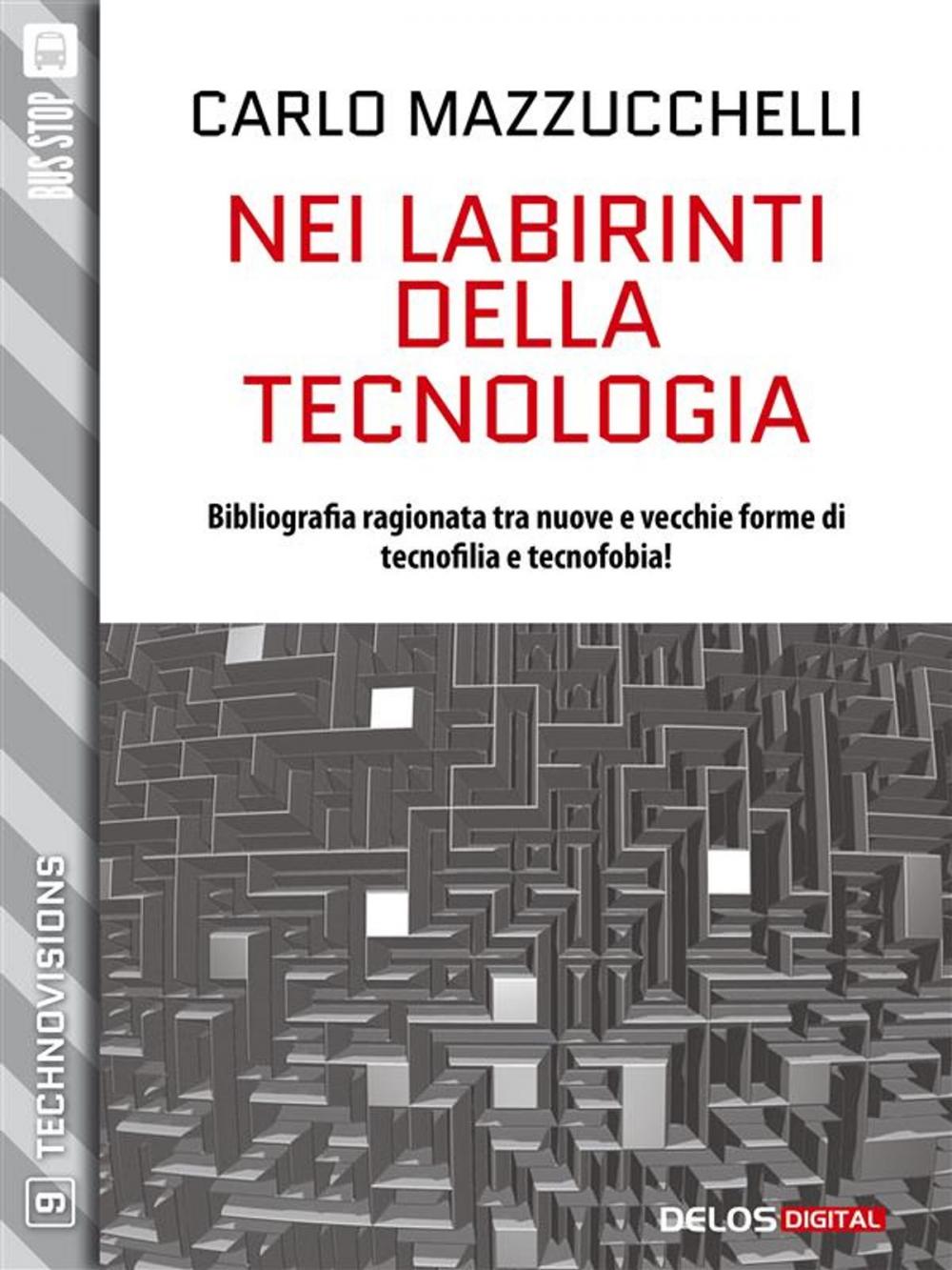 Big bigCover of Nei labirinti della tecnologia