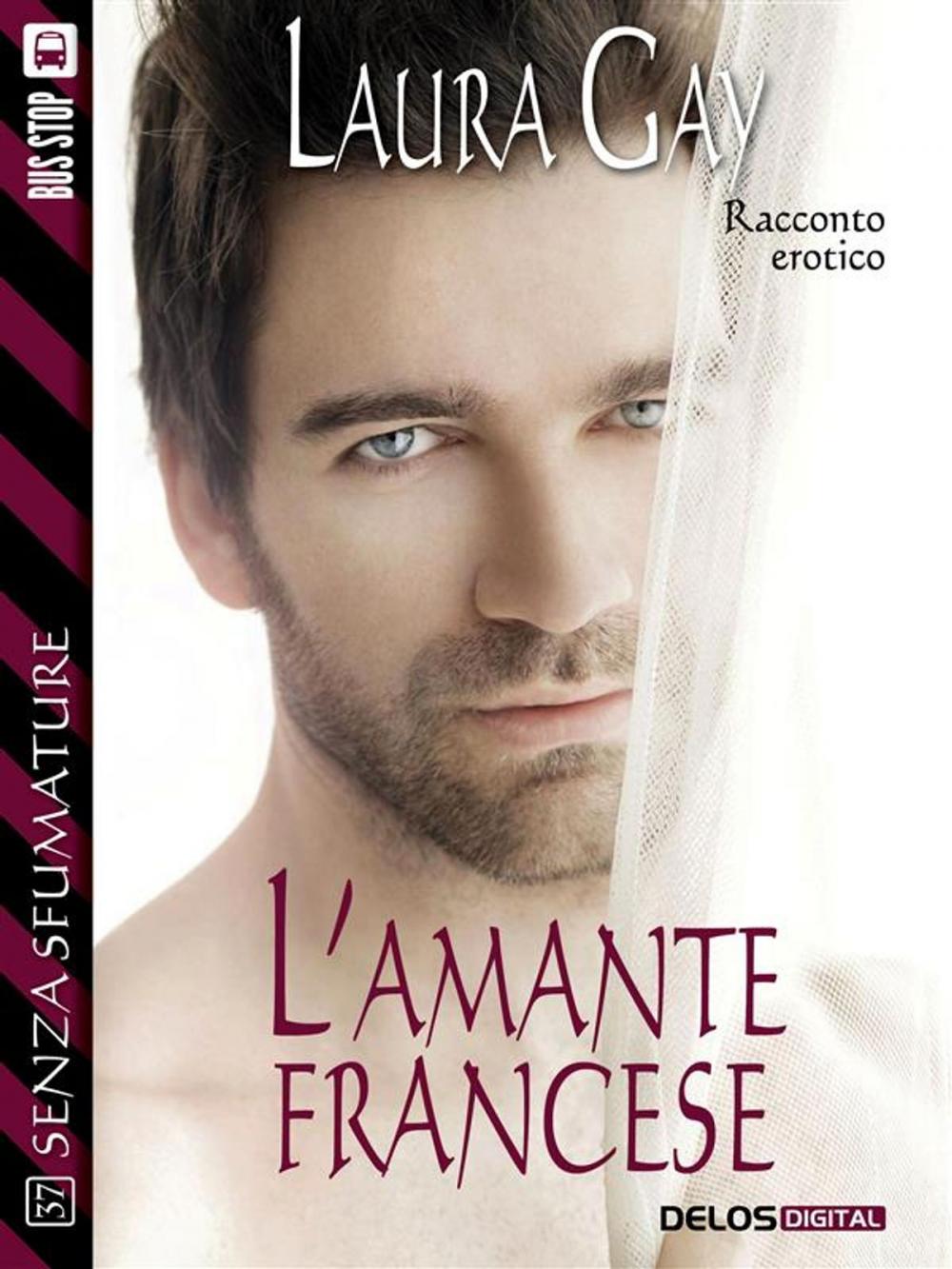 Big bigCover of L'amante francese