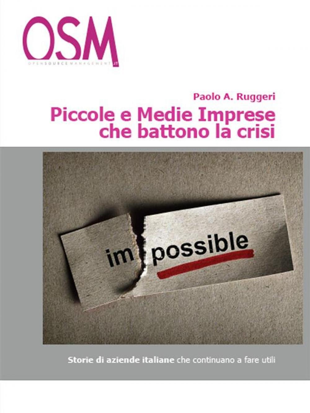 Big bigCover of Piccole e medie imprese che battono la crisi