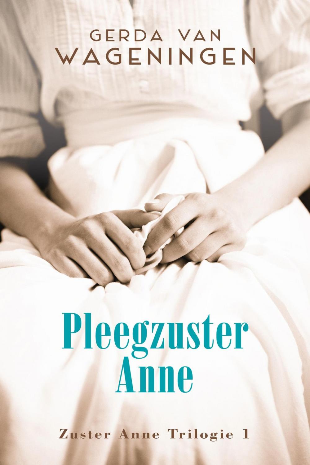 Big bigCover of Pleegzuster Anne