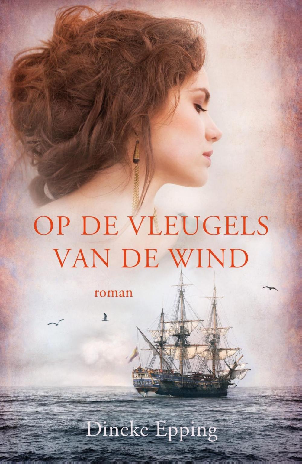 Big bigCover of Op de vleugels van de wind