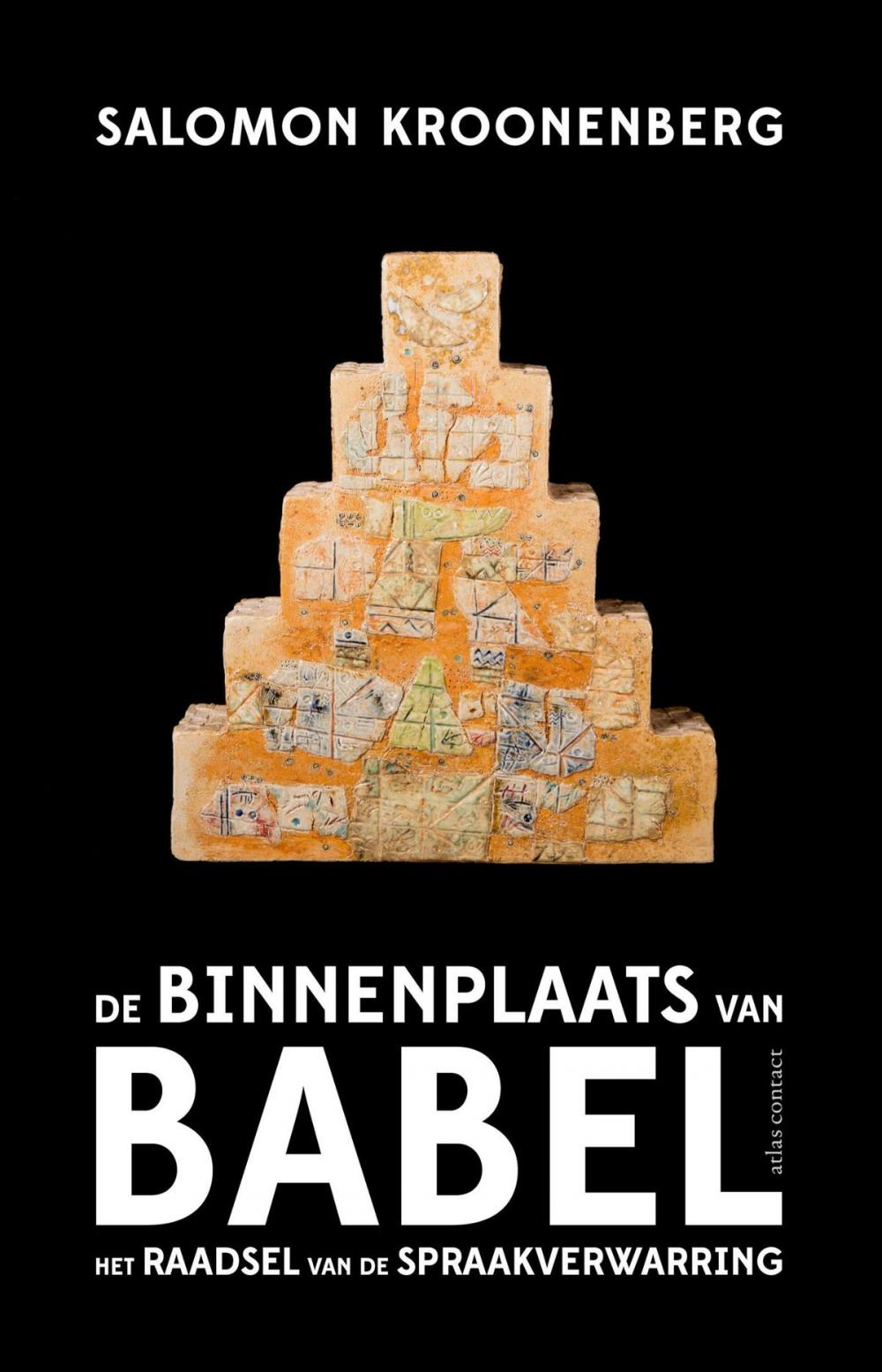 Big bigCover of De binnenplaats van Babel