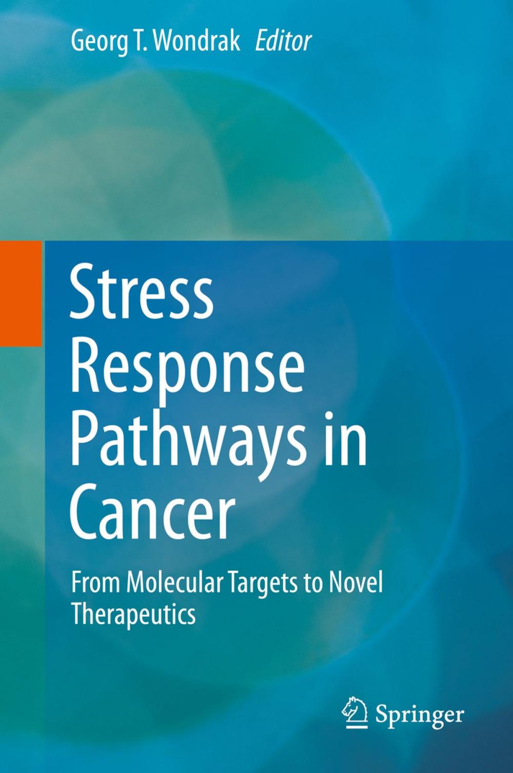 Big bigCover of Stress Response Pathways in Cancer