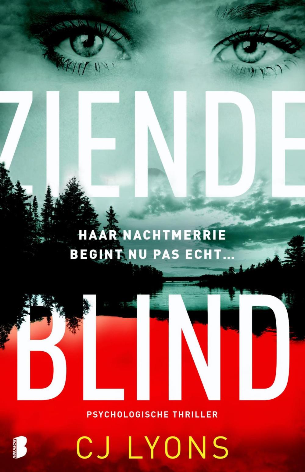 Big bigCover of Ziende blind