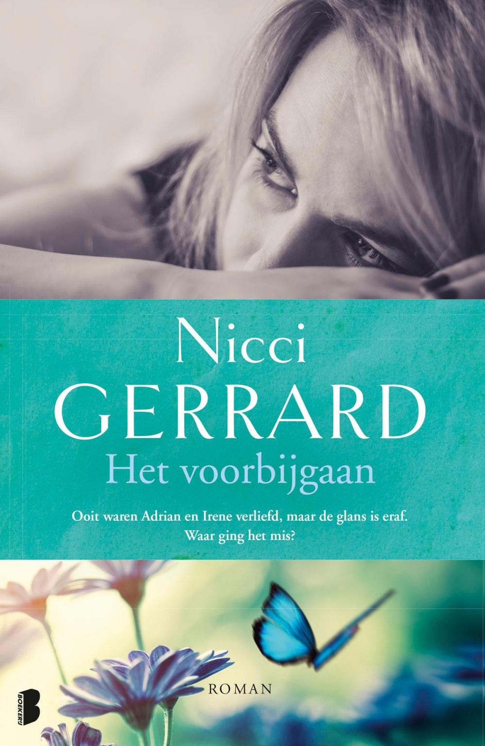 Big bigCover of Het voorbijgaan