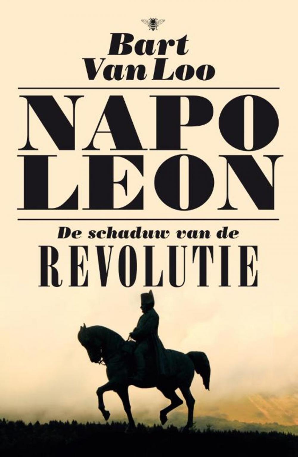 Big bigCover of Napoleon