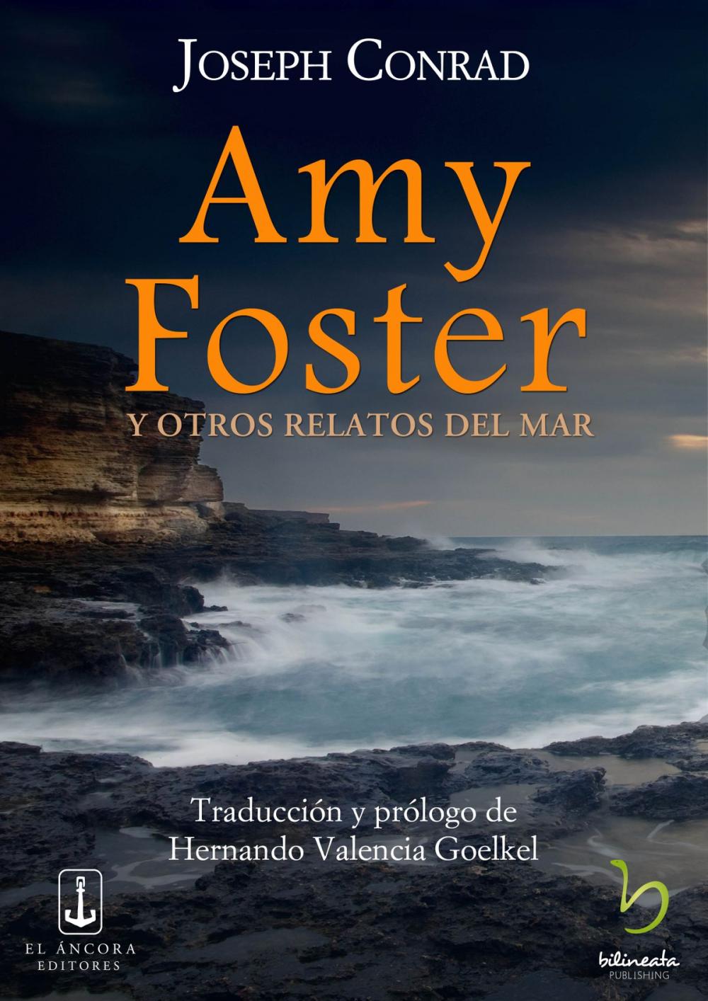 Big bigCover of Amy Foster