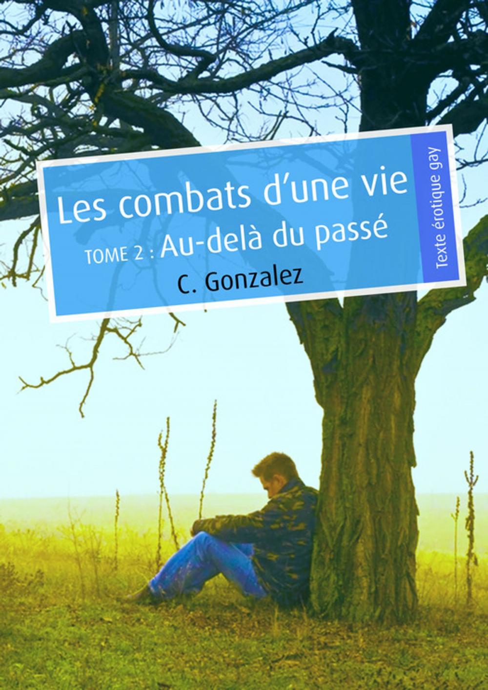 Big bigCover of Les combats d'une vie, tome 2 (pulp gay)