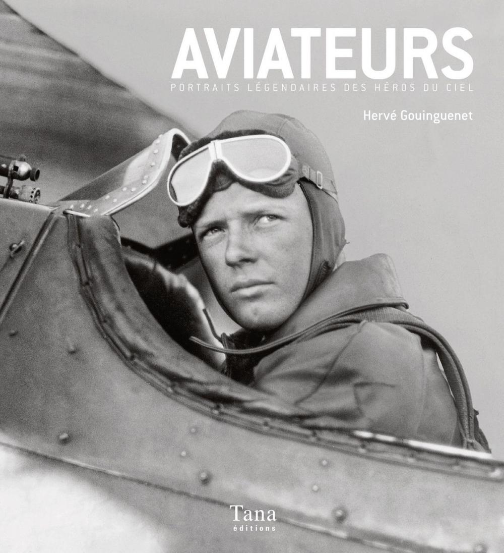 Big bigCover of Portraits légendaires d'aviateurs