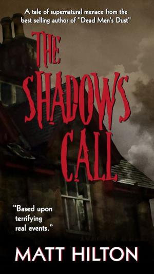 Cover of the book The Shadows Call by Laurie S. Johnson