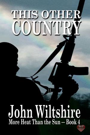 Cover of the book This Other Country by William Maltese