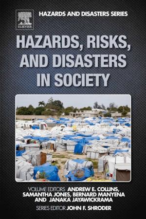 Cover of the book Hazards, Risks, and Disasters in Society by E. C. Tupper