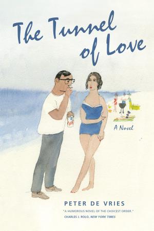 Cover of the book The Tunnel of Love by Rodrigo Gámez Lobo
