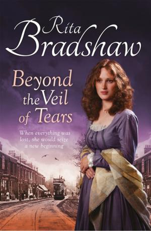 Cover of the book Beyond the Veil of Tears by Pam Weaver