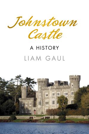 Cover of the book Johnstown Castle by Peter Warwick