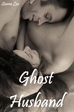 Cover of the book Ghost Husband by Shei Darksbane, Annathesa Nikola Darksbane
