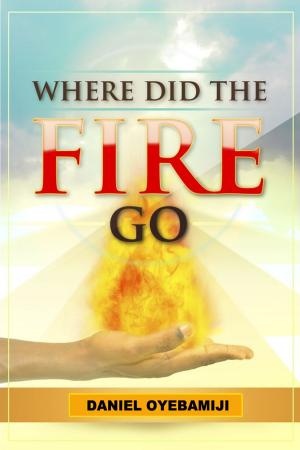 Cover of Where Did The Fire Go
