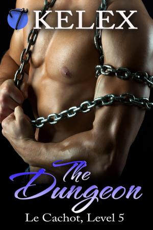 Cover of the book The Dungeon (Le Cachot, Level Five) by Victoria Vallo