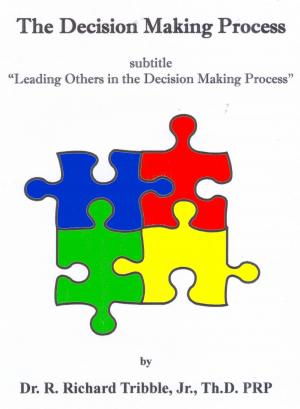 Cover of the book The Decision Making Process by Mervin Yeo